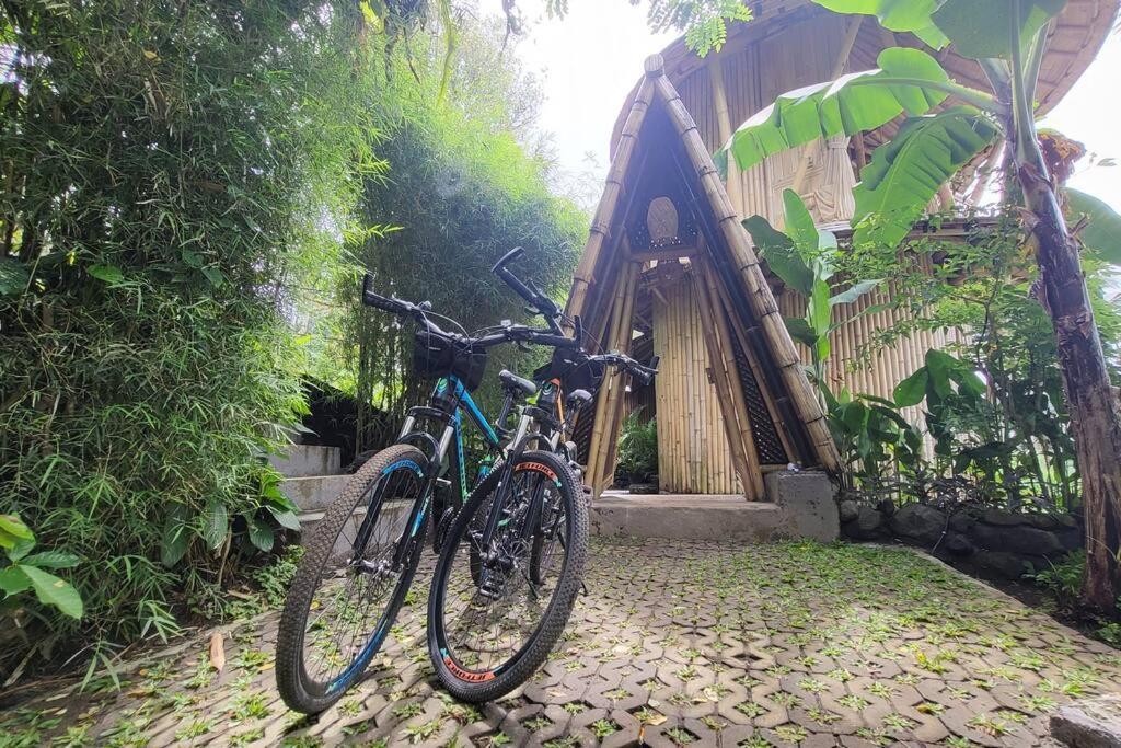 Villa The Nude House Selat Exterior foto